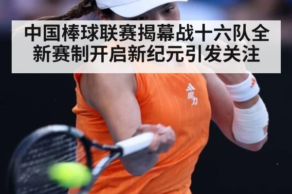 中国棒球联赛揭幕战十六队全新赛制开启新纪元引发关注